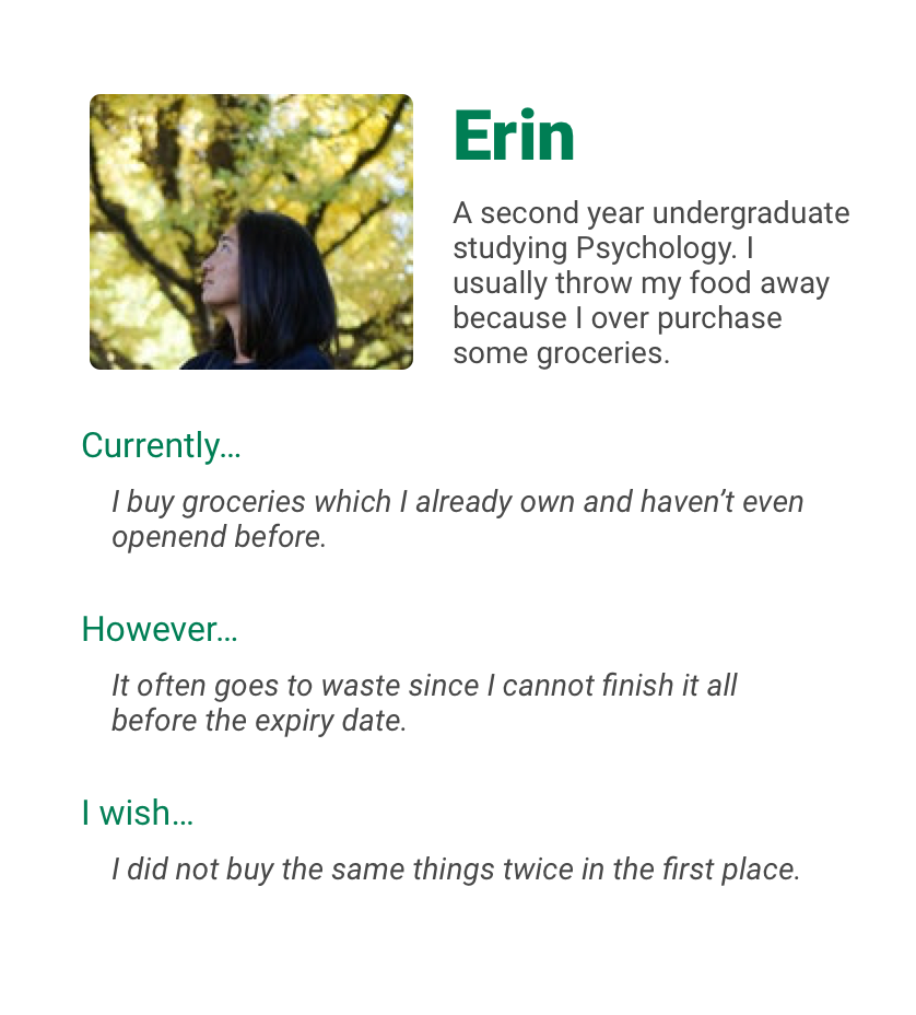 A persona named Erin representing a typical user of the system.